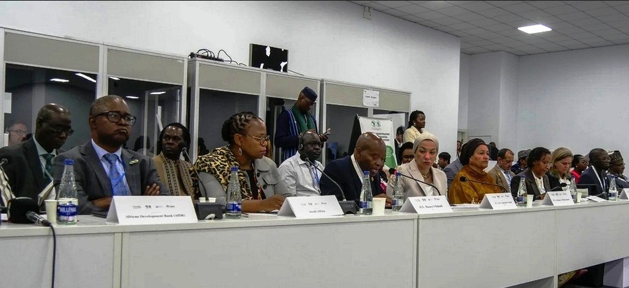 COP17: AfDB backs Nice Inexperienced Wall revival as Africa calls for quicker motion COP17: AfDB backs Nice Inexperienced Wall revival as Africa calls for quicker motion