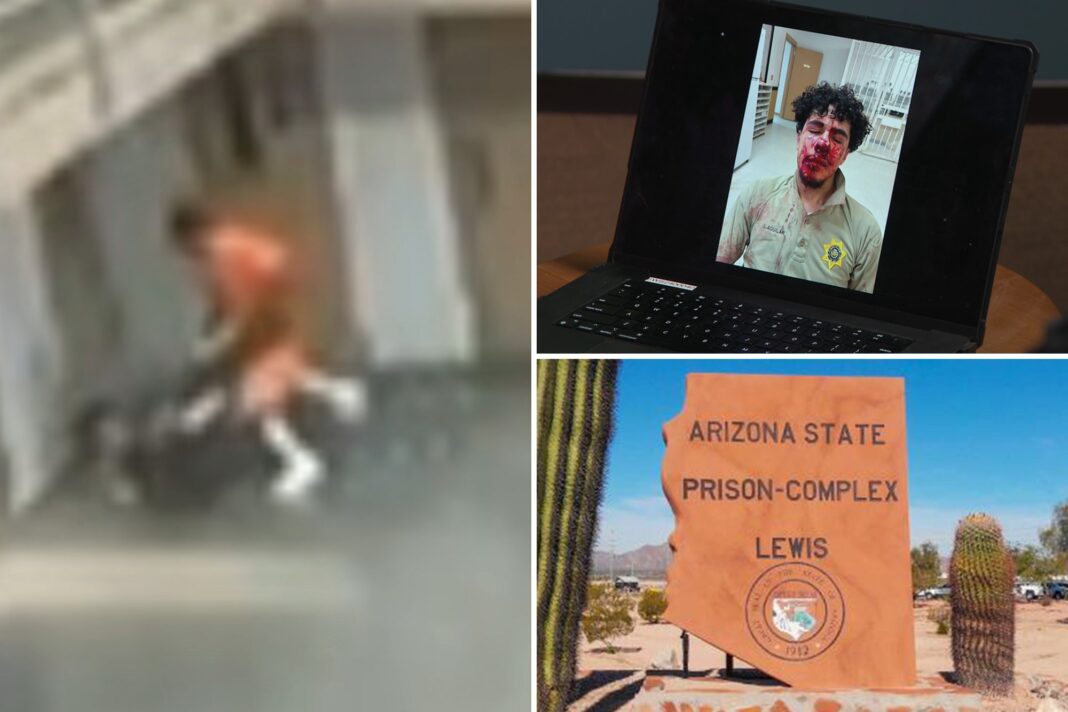 Leaked video reveals second officer sucker punched and overwhelmed at Arizona’s ‘Jurassic Park’ jail Leaked video reveals second officer sucker punched and overwhelmed at Arizona’s ‘Jurassic Park’ jail