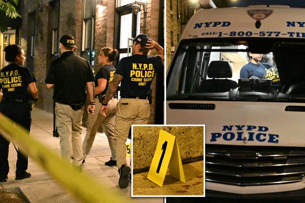 NYC faculty employee killed, buddy stabbed by maniac with 13 prior busts: sources NYC faculty employee killed, buddy stabbed by maniac with 13 prior busts: sources
